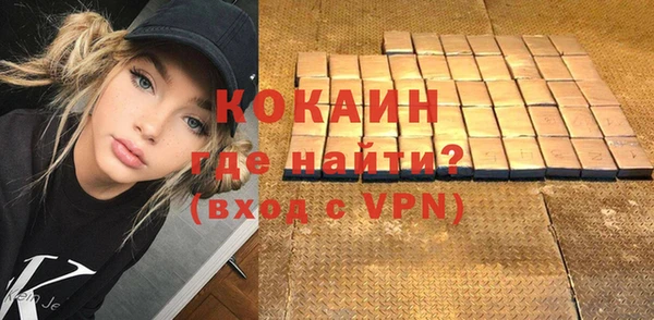 хмурый Абаза