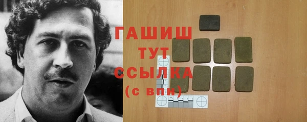хмурый Абаза