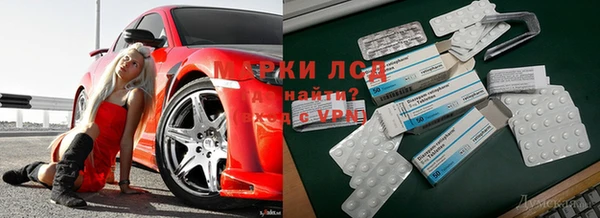 хмурый Абаза