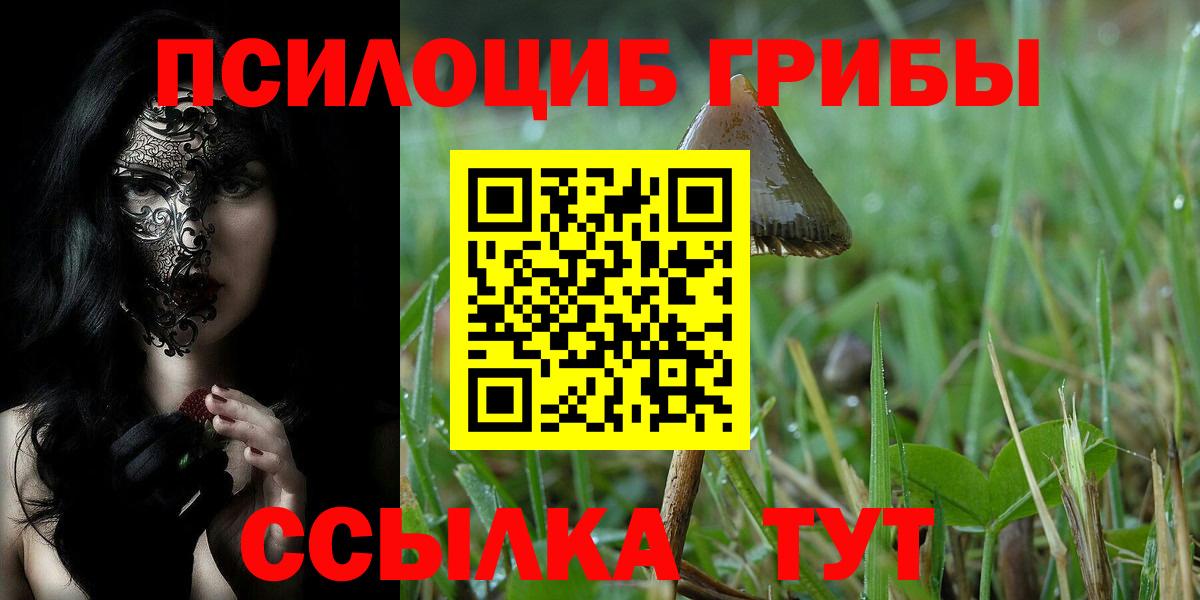 Галлюциногенные грибы Psilocybe  наркошоп  Кизилюрт  Вход с VPN  Галлюциногенные грибы мицелий 